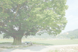 20180527_002.jpg