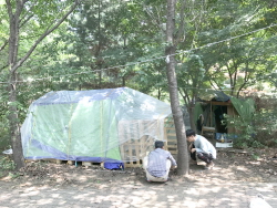 20170625_006.jpg