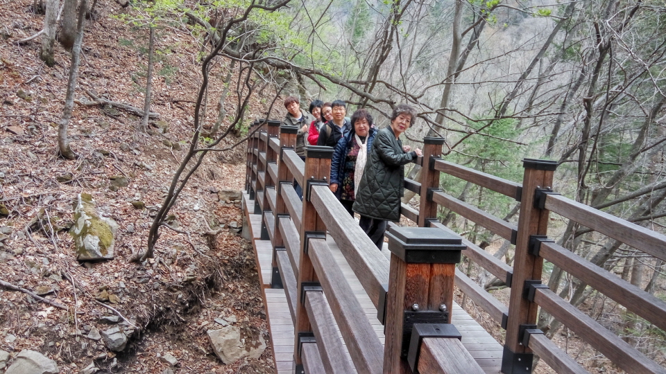 20190428_125545_HDR.jpg