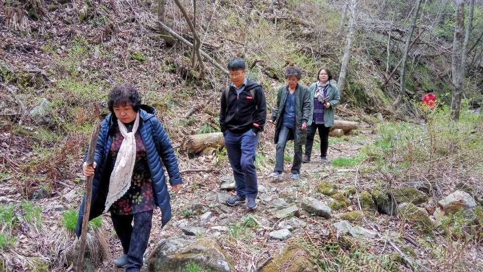 20190428_122937_HDR.jpg