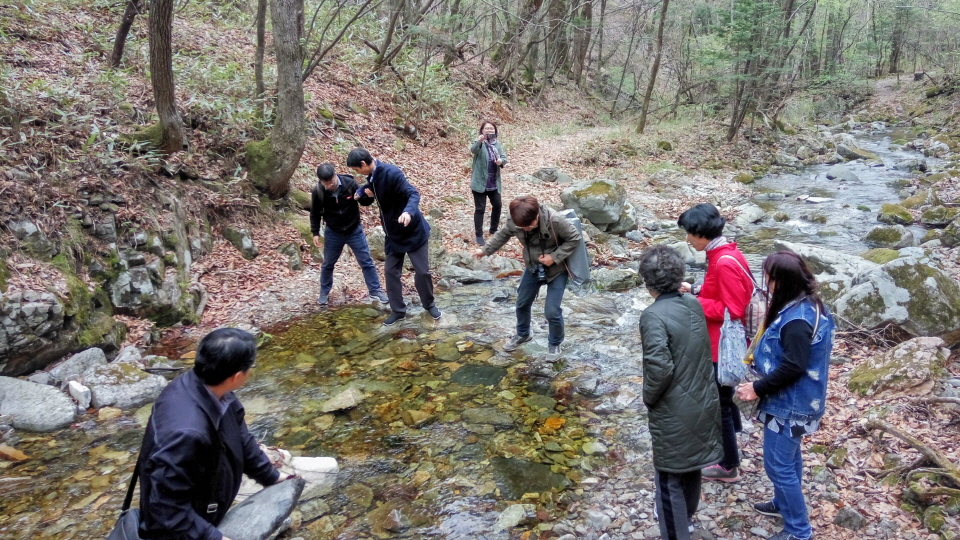 20190428_103303_HDR.jpg