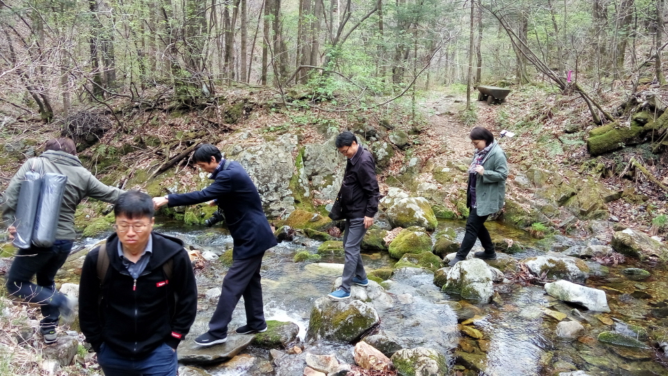 20190428_103000_HDR.jpg