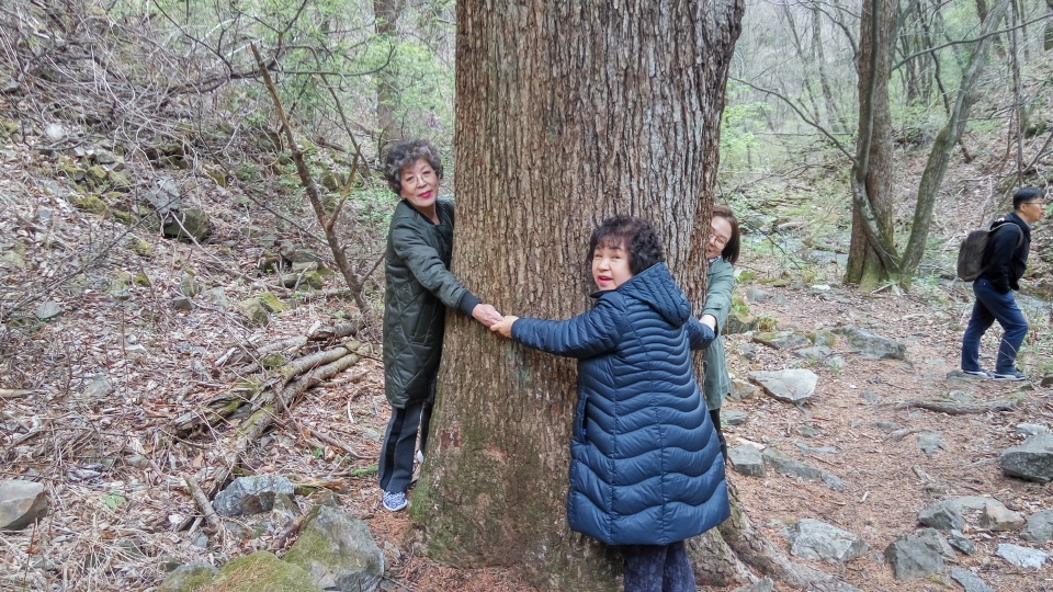 20190428_110626_HDR.jpg