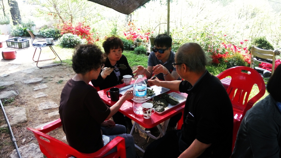 20190512_155626_HDR.jpg