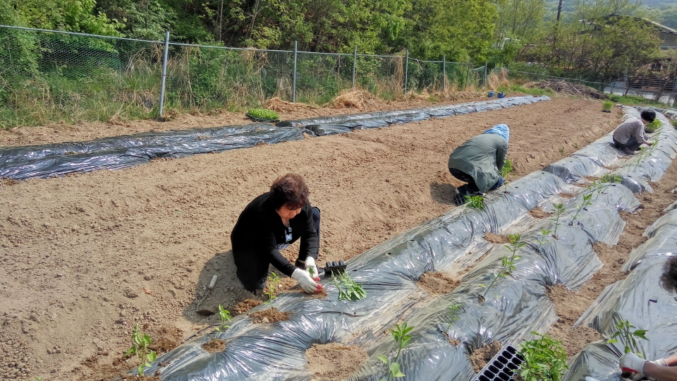20190512_144216_HDR.jpg