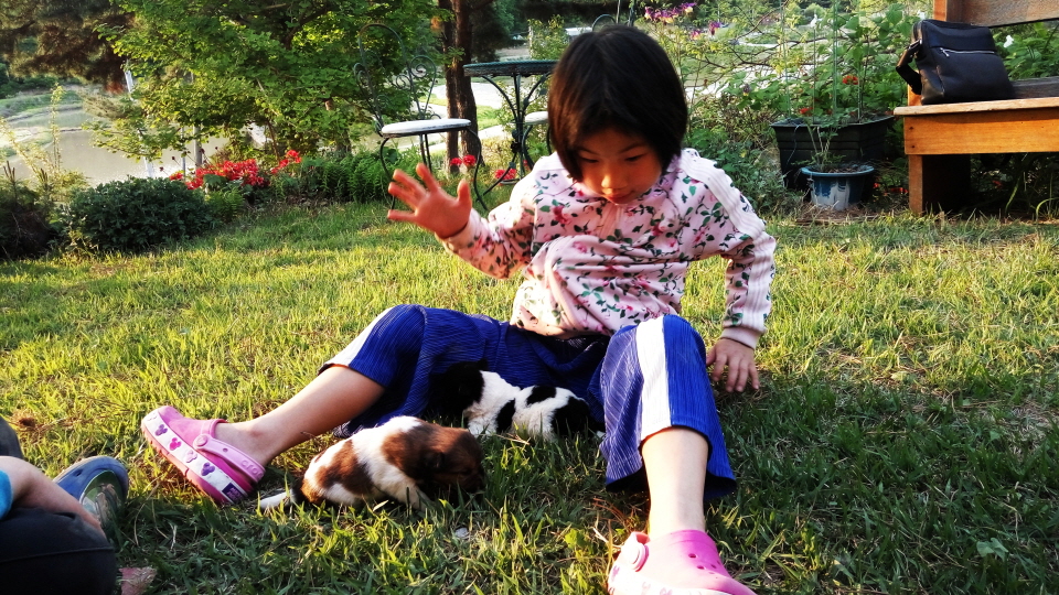 20190512_182454.jpg