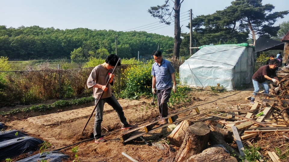 20190512_162151_HDR.jpg