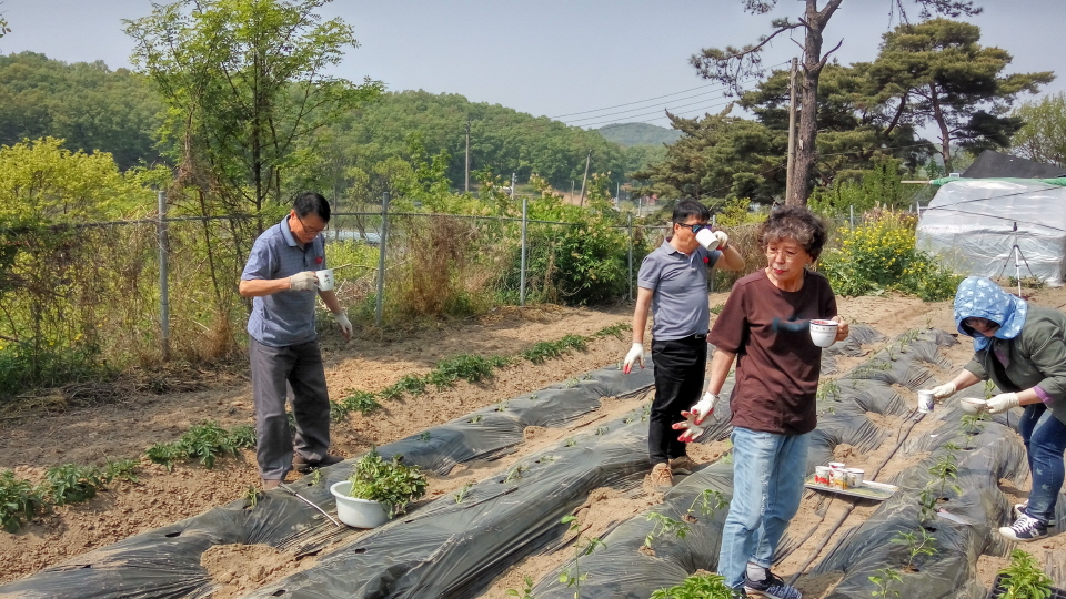 20190512_144436_HDR.jpg