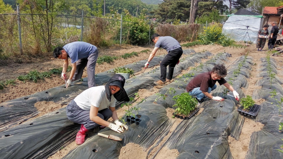 20190512_144256_HDR.jpg