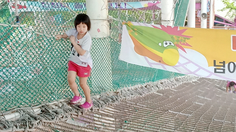 20190525_123454_3.jpg