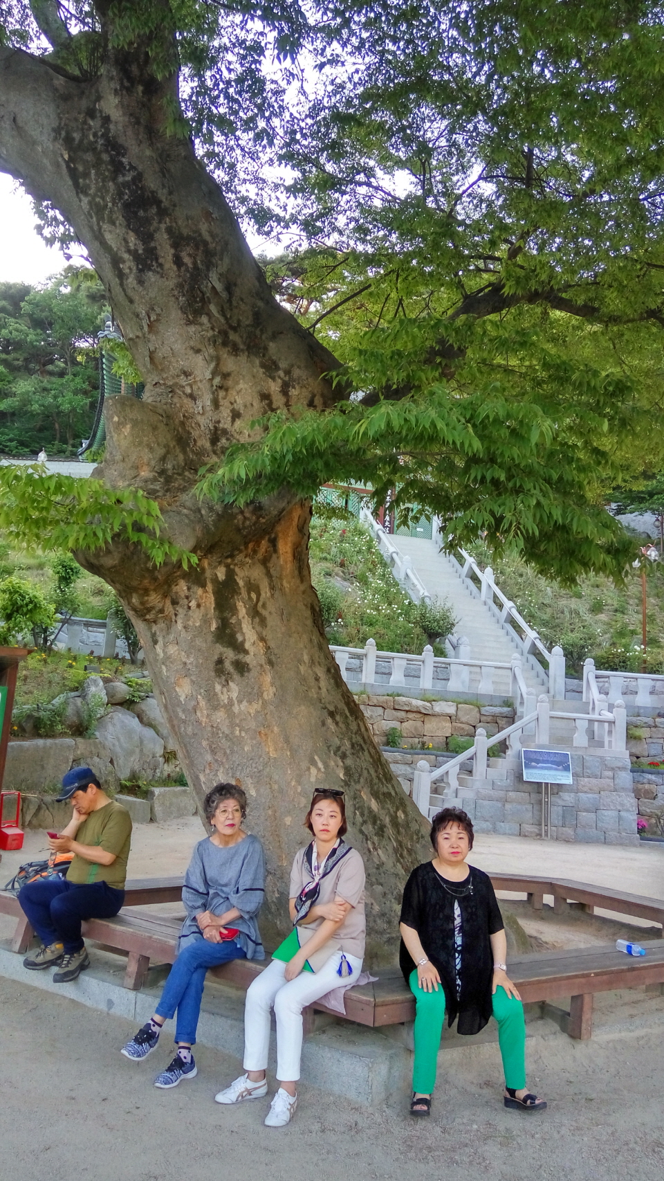 20190529_182236_HDR.jpg