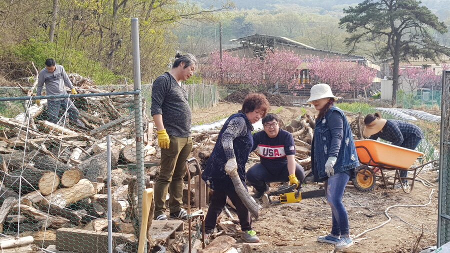 20180429_010.jpg