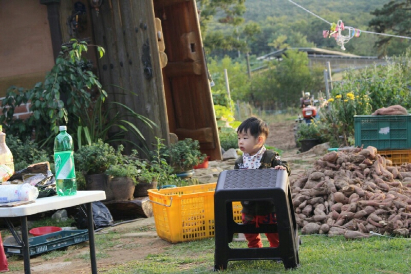 201061009_008.jpg