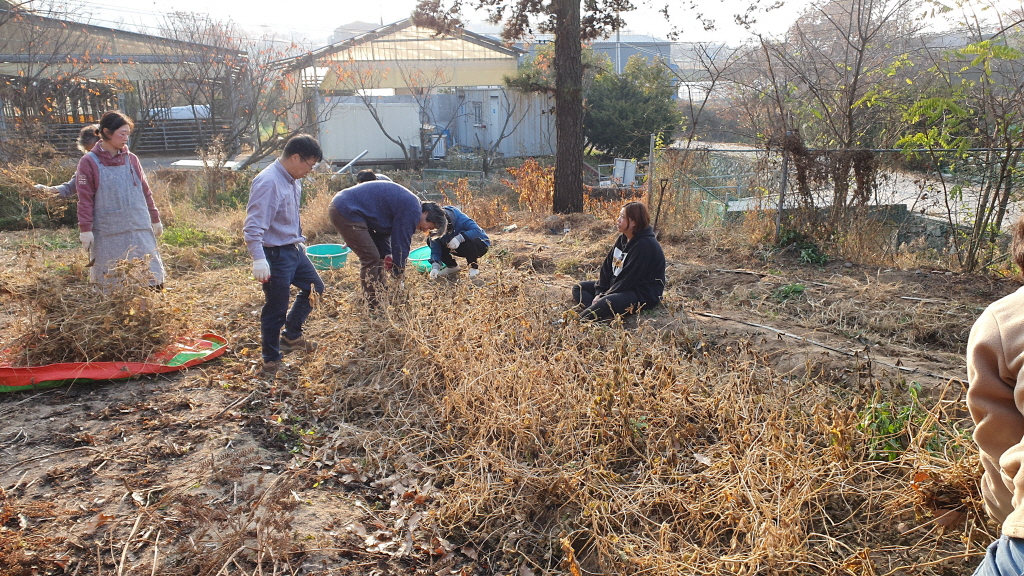 20201115-06.jpg