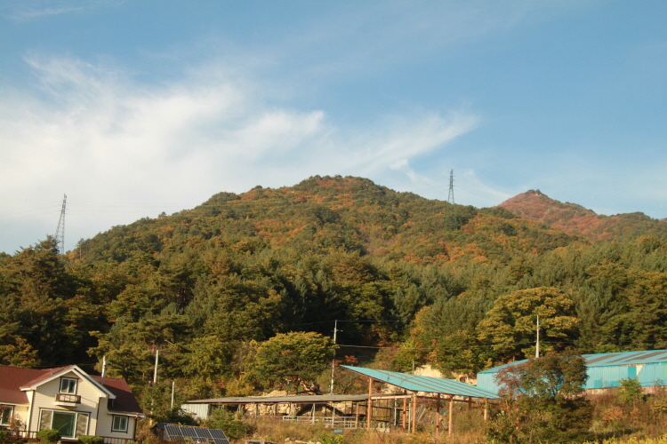 크기변환_IMG_9716.JPG