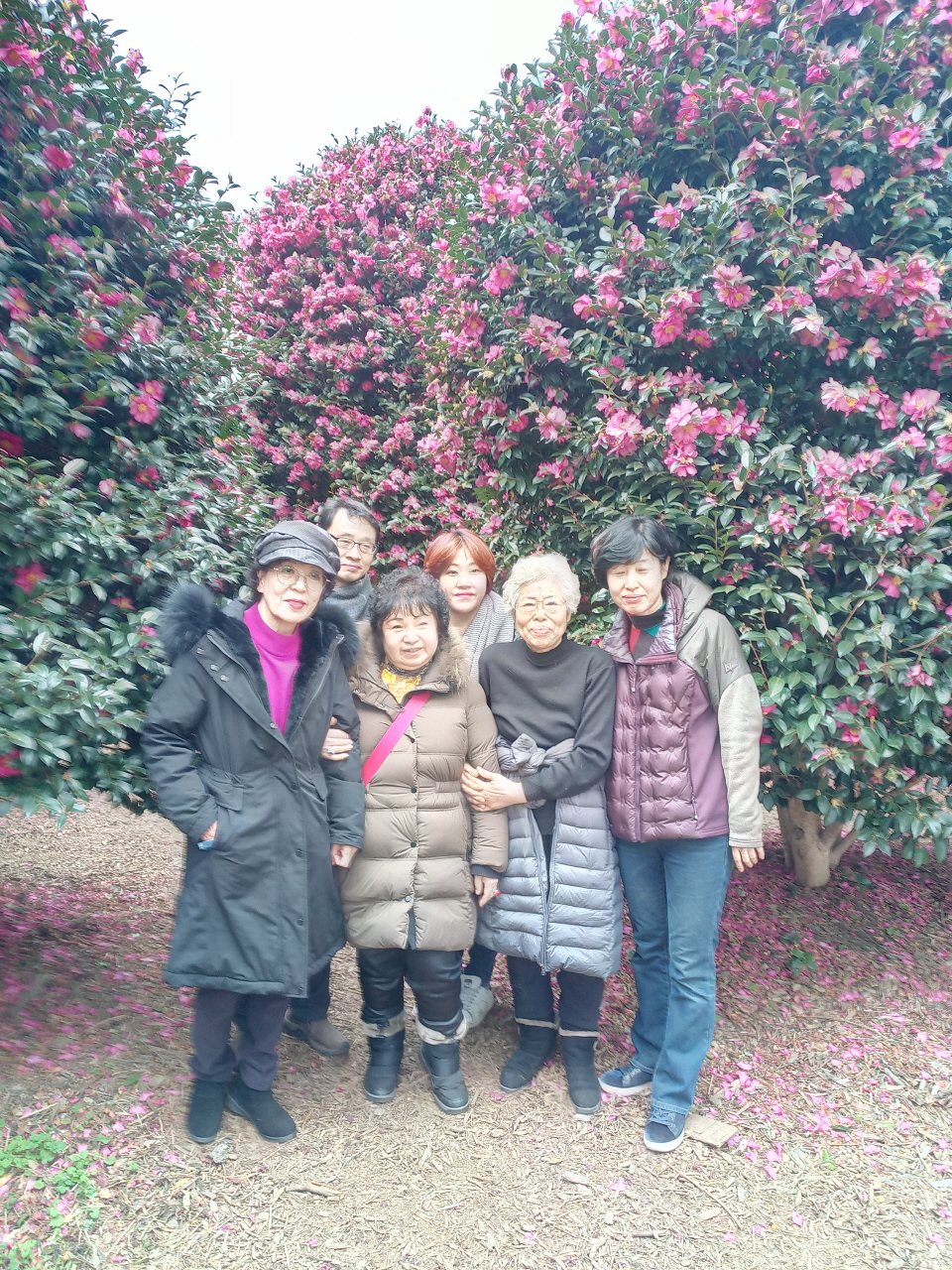 20190104_140148_9.jpg