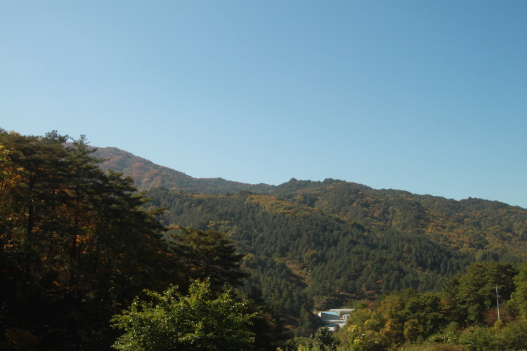 크기변환_IMG_9588.JPG